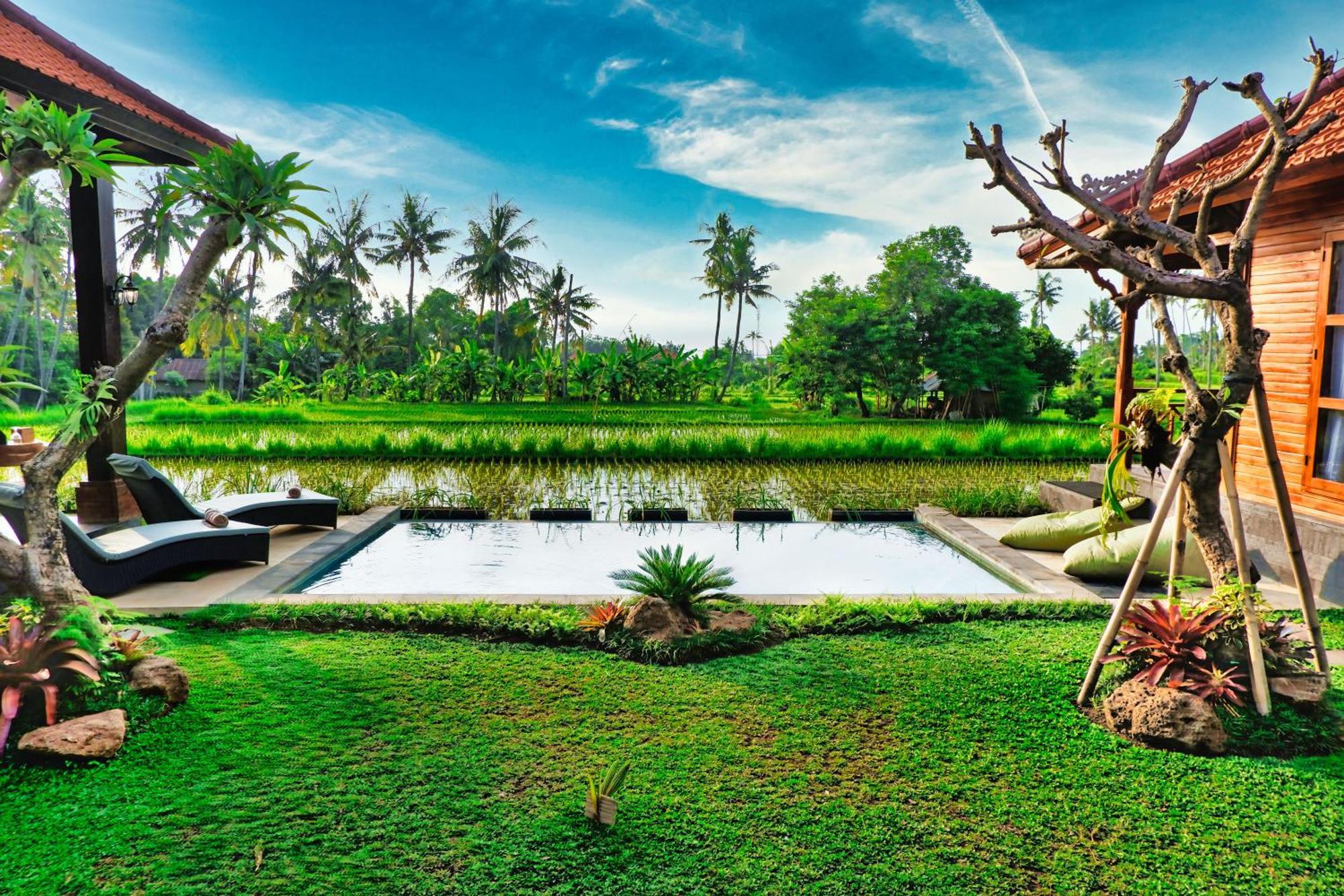 Dapha Eco Lodge Lovina Sukasadel 外观 照片