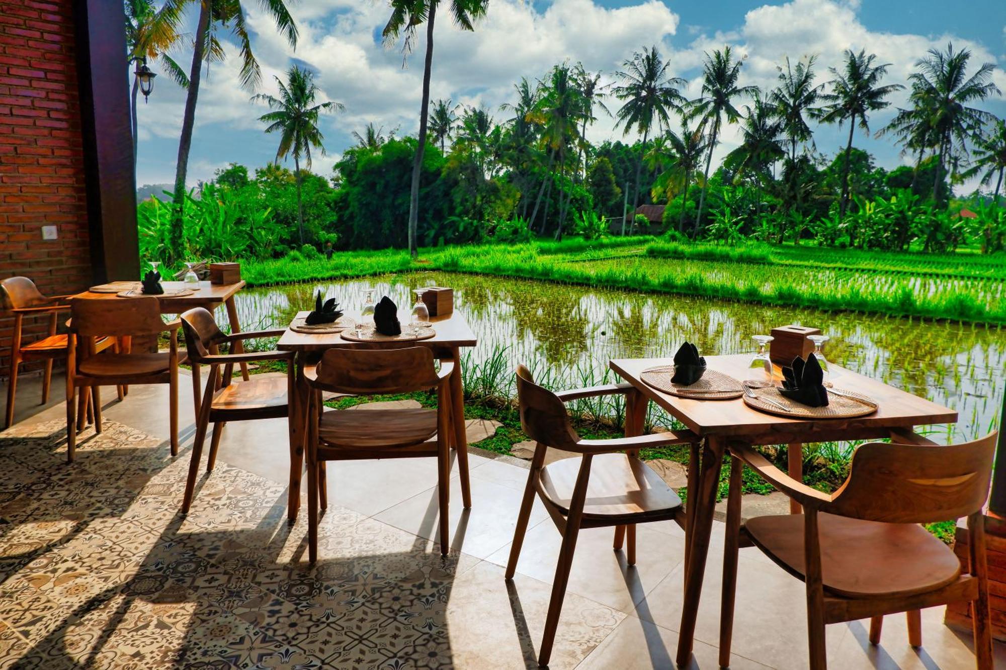 Dapha Eco Lodge Lovina Sukasadel 外观 照片